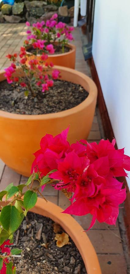Summer Sand Holiday Cottages Scottburgh Exteriér fotografie
